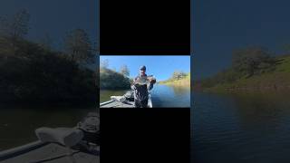 Nice Bass #lakeamador #bassfishing #nekorig