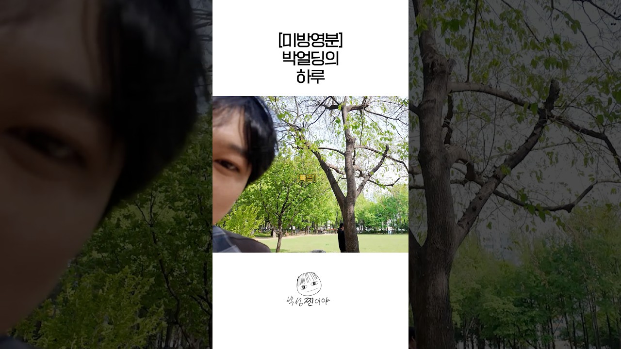성진의 까마귀 퇴치법🐦‍⬛
