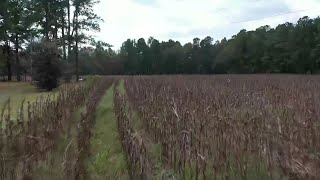 'Flash Drought' Prompting Water Restrictions in Parts of NC