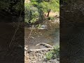 Part 3: Jungle safari and zoo visit at Statue of Unity