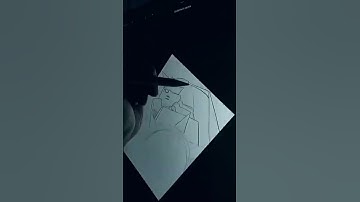 Process Video on Procreate / Timelapse