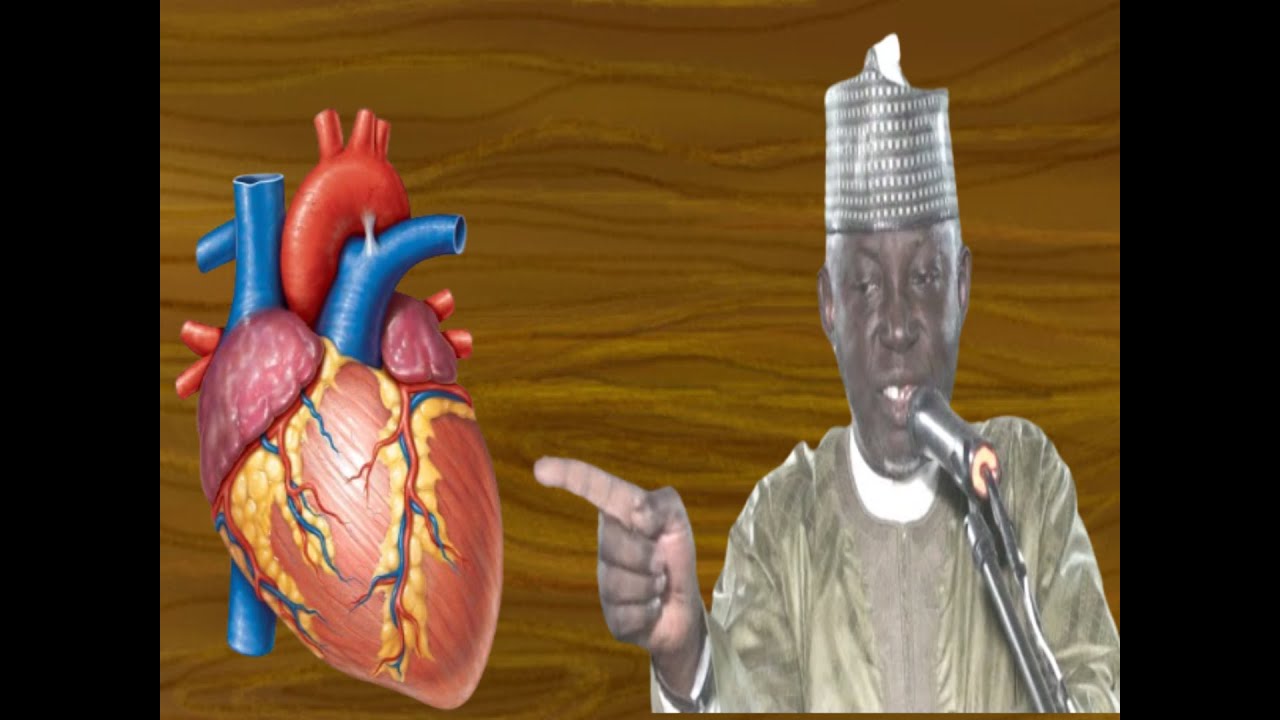 Maganin Cutukan Zuciya daga FATIHA - Prof. Shiekh Umar Sani Fagge