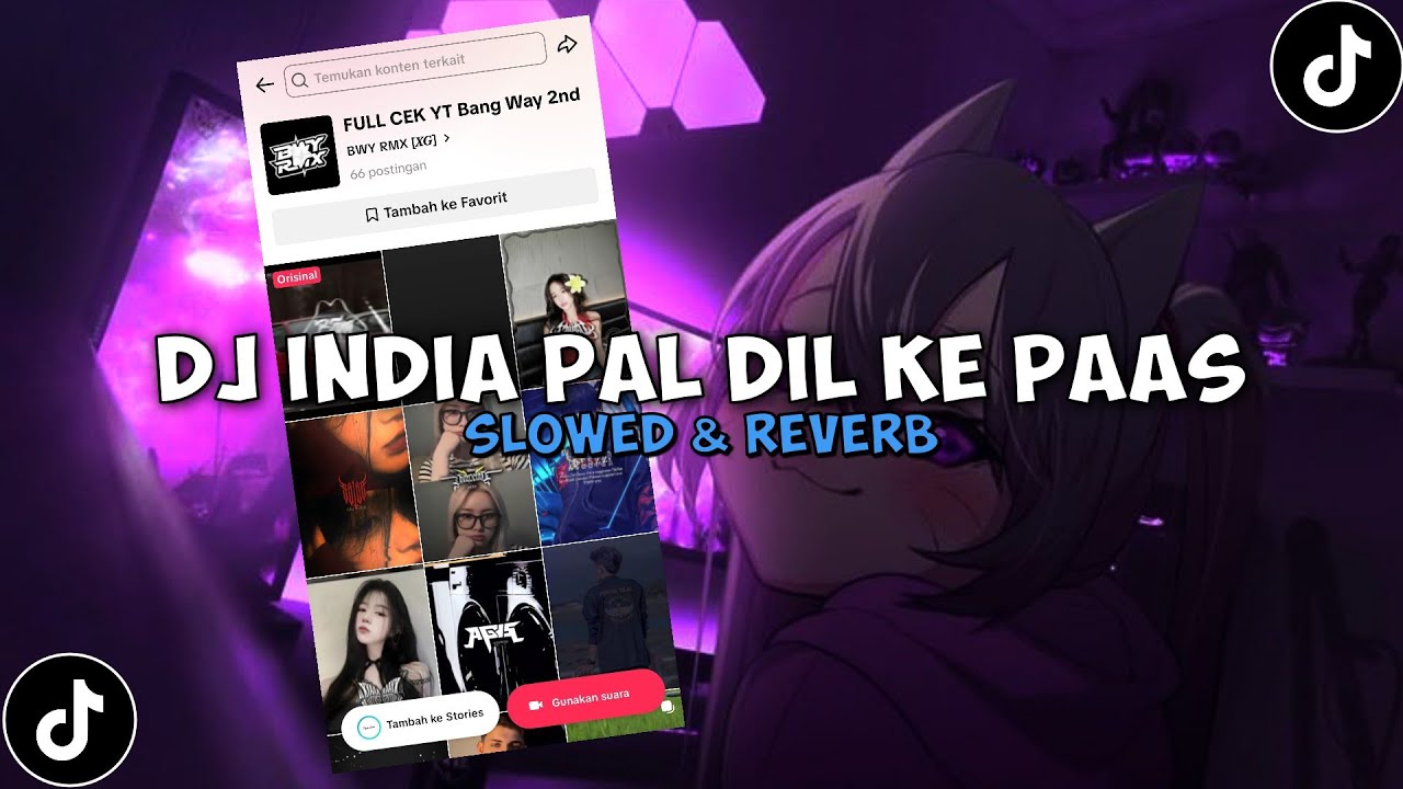 DJ INDIA PAL DIL KE PAAS ( Slowed & Reverb ) 