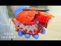 How Lobster Shells Could Replace Single-Use Plastic