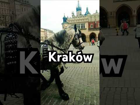 Kraków Rynek Główny