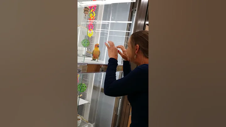Mom's birthday bird