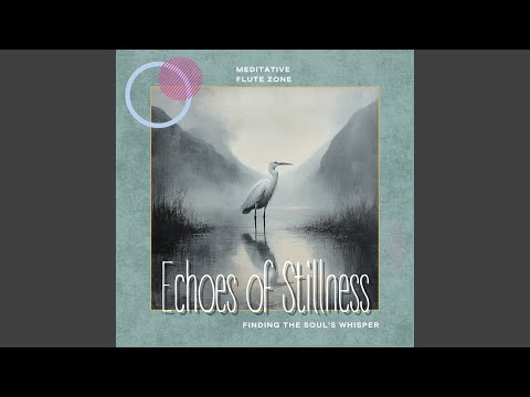 Serene Visualization Practice bekijken op YouTube