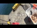 釣った海タナゴで「海タナゴの塩焼き」 の動画、YouTube動画。