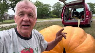Pulling the Pumpkin forward August update what mistakes did we make ￼ 