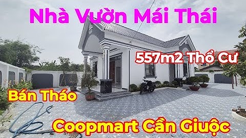 🏡Bán Căn Nhà Vườn Mái Thái 557m2 Thổ Cư - Sổ Hồng Riêng - Ngay Siêu Thị Coopmart Cần Giuộc 