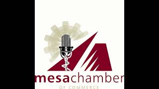 Mesa Police Chief Ken Cost joins Sally on the Inside Business Podcast