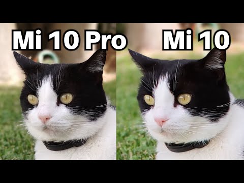 Xiaomi Mi 10 Pro Vs Mi 10 Camera Comparison