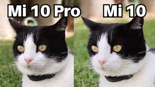 Xiaomi Mi 10 Pro Vs Mi 10 Camera Comparison screenshot 3