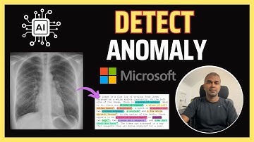 Florence 2 Fine-Tuning: Hoe train je een Vision Language-model?