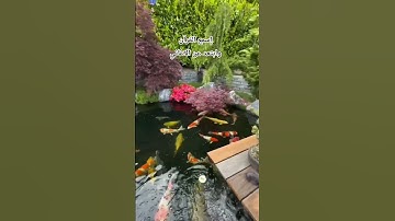 تلاوة هادئة  و خاشعة تريح النفسية #تلاوة_هادئة #تلاوة_خاشعة #راحة_نفسية
