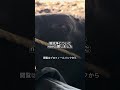 note公開しました🐮🌱