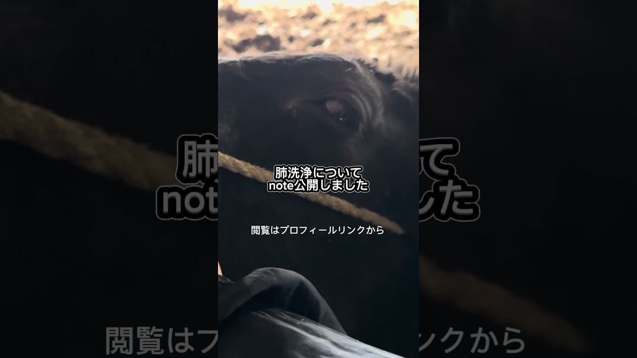 note公開しました🐮🌱