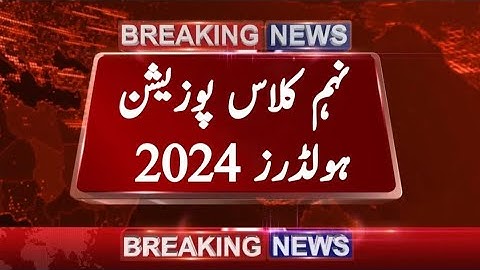 9th class position holders 2024 |all punjab position holders 9th class 2024 |9th class toppers 2024