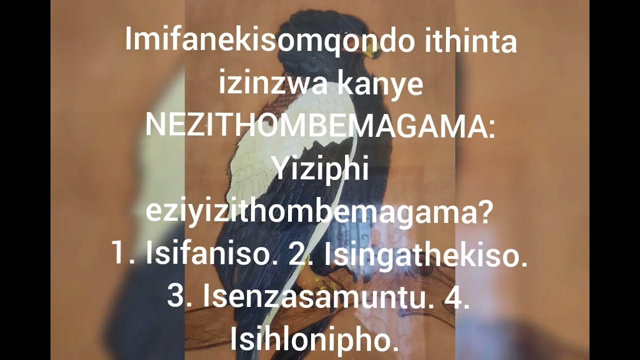 ukuhluza-inkondlo-izifenqo-isakhiwo-sangaphakathi-youtube