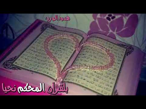 بلقرآن المحكم نحيا الوصف مو دعم حالات واتس اب دينيه مقاطع دينيه قصيره