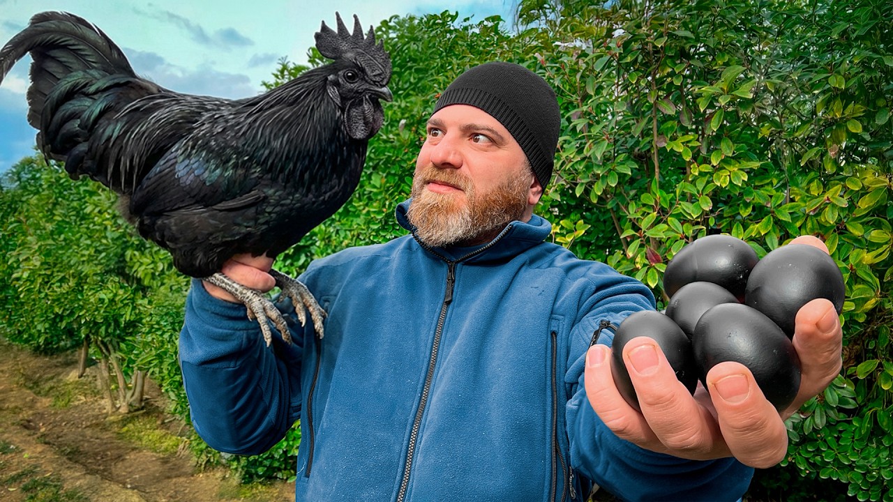 طبق دجاج باللحم الداكن 🔥 وصفة تقليدية بطريقة جديدة مذهلة