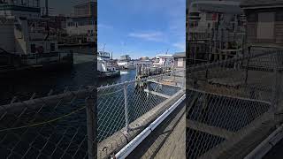 New Training Ship 🚢 NSMN State of Maine #maine #maritime #maritimesecurity