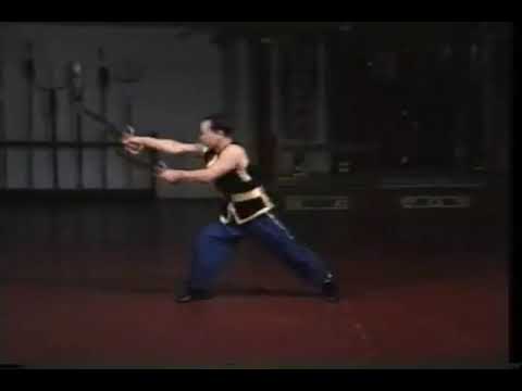 Hasayfu Hung Kuen   Coiled Dragon Butterfly Swords Sample #81 WLE.com