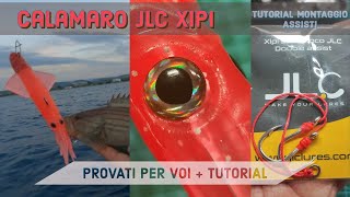 JLC XIPI CALAMARO  Provati per voi + tutorial montaggio assist hook