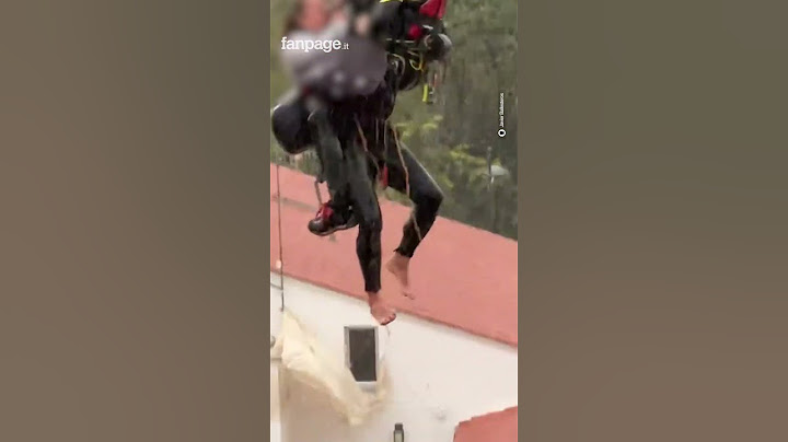 Alluvione in Spagna, salvata donna di Utiel intrappolata in casa con i suoi gatti e il suo cane