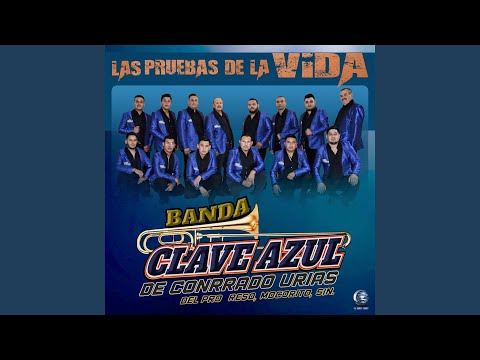 在 YouTube 上观看 Suerte He Tenido