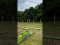 Zapraszamy na Majówkę #alpakitotu #wojtkowyje #alpaca #funnyvideo #minigolf