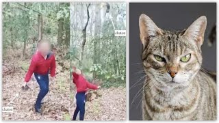 Deux collégiens se filment en train de torturer à mort deux chatons : on les entend rigoler Deux collégiens se filment en train de torturer à mort deux chatons : on les entend rigoler