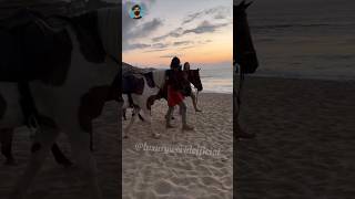 Romantic Zeus On Beach