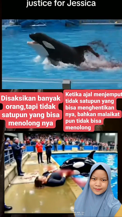 paus orca Jessica