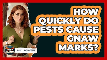 How Quickly Do Pests Cause Gnaw Marks? - Insects and Invaders