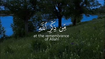 "أفمن شرح الله صدره للإسلام..." | لحظة سكينة من سورة الزمر 🌿