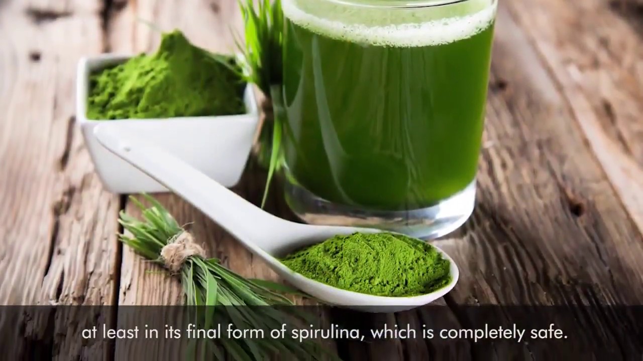 What Is Spirulina Protein & What Are Spirulina's Health Benefits YouTube