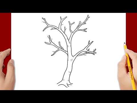 Video: Cómo Dibujar árboles En Invierno