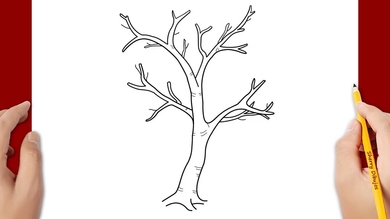 Árbol dibujo a lápiz