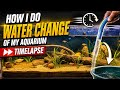 Changing tank water time lapse || how to make your water crystal clear || How to change tank water