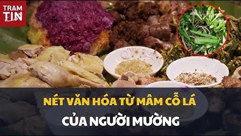 NÉT VĂN HÓA TỪ MÂM CỖ LÁ CỦA NGƯỜI MƯỜNG