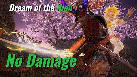 Nioh 2 (DotN) - Tokichiro | Hideyoshi (No Damage | Axe)