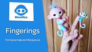 ⭐ЖИВАЯ Интерактивная обезьянка Fingerlings(Фингерлингс) ⭐Как отличить от подделки ✈Toyexpress.com.ua