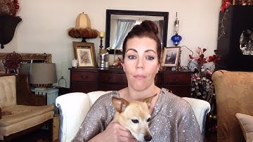 How to: Code a Chatroom in PHP, MySQL, HTML in 1 minute.