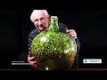 British man grows garden in sealed bottle not watered in over 40 years 1