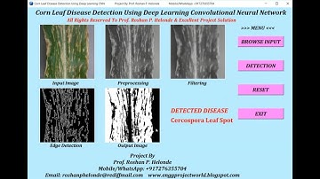 Corn Leaf Disease Detection Using CNN Python Code | Corn Leaf Disease Detection Using Deep Learning