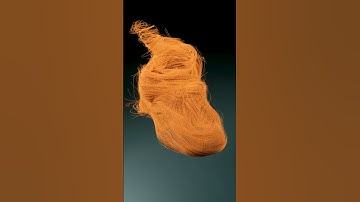 2025.0915/ Weaving Silhouette #houdini #sidefxhoudini