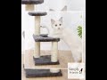 Active Cat Tower with Jumping Platform for Indoor Fun