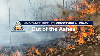 LANDOWNER PROFILE: Out of the Ashes