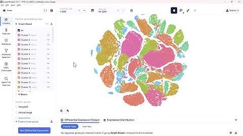 Loupe Browser Tutorial [LATEST]